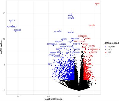 PPARG dysregulation as a potential molecular target in adrenal Cushing's syndrome